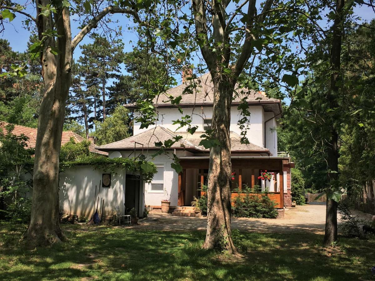 Honved Apartmanhaz Balatonlelle Exteriör bild